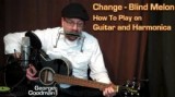 Read more about the article Blind Melon – CHANGE – How To Play On Guitar and Harmonica