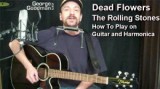 Read more about the article The Rolling Stones – DEAD FLOWERS – How To Play On Guitar And Harmonica