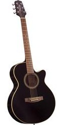 Takamine Acoustic Electric EG