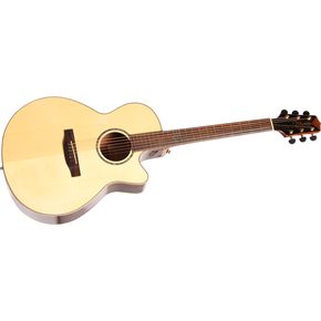 Takamine Acoustic Guitar